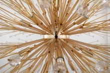 Load image into Gallery viewer, CL3 Hydrangea18 Bulb Chandelier